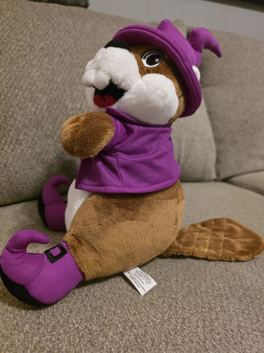 HALLOWEEN Bucee In Witch Costume
